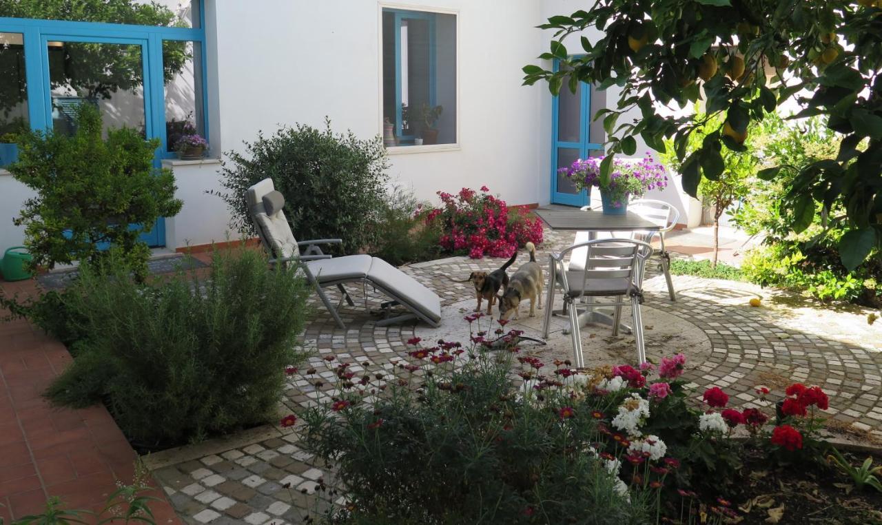 B&B-Le Rondini Monserrato Dış mekan fotoğraf